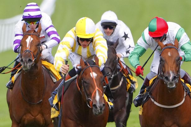 Jack Of Diamonds (győztesre és helyre) 5,00