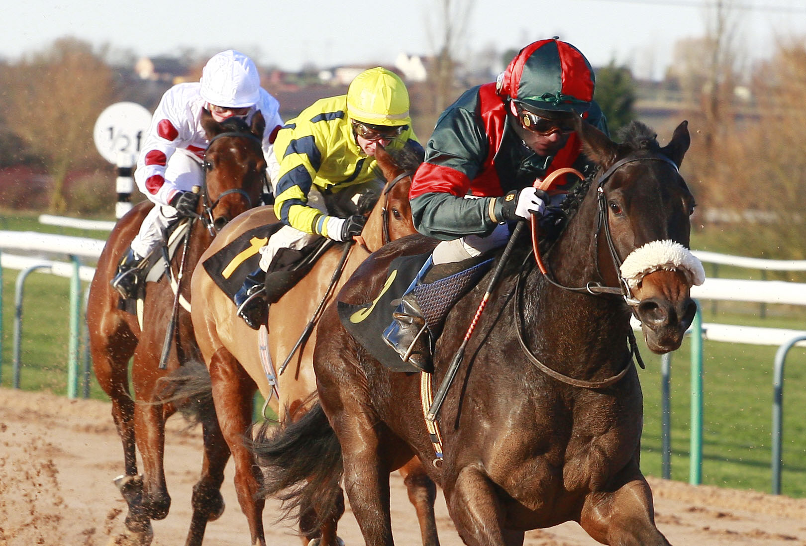 Roccos Delight (győztesre és helyre) 2,75