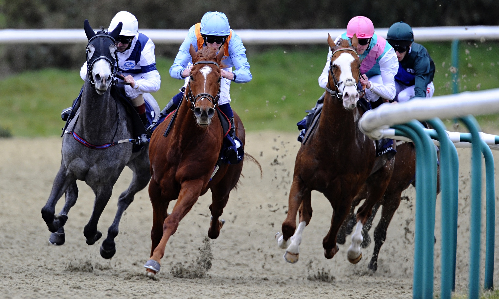 Henry Smith (győztesre és helyre) 6,5