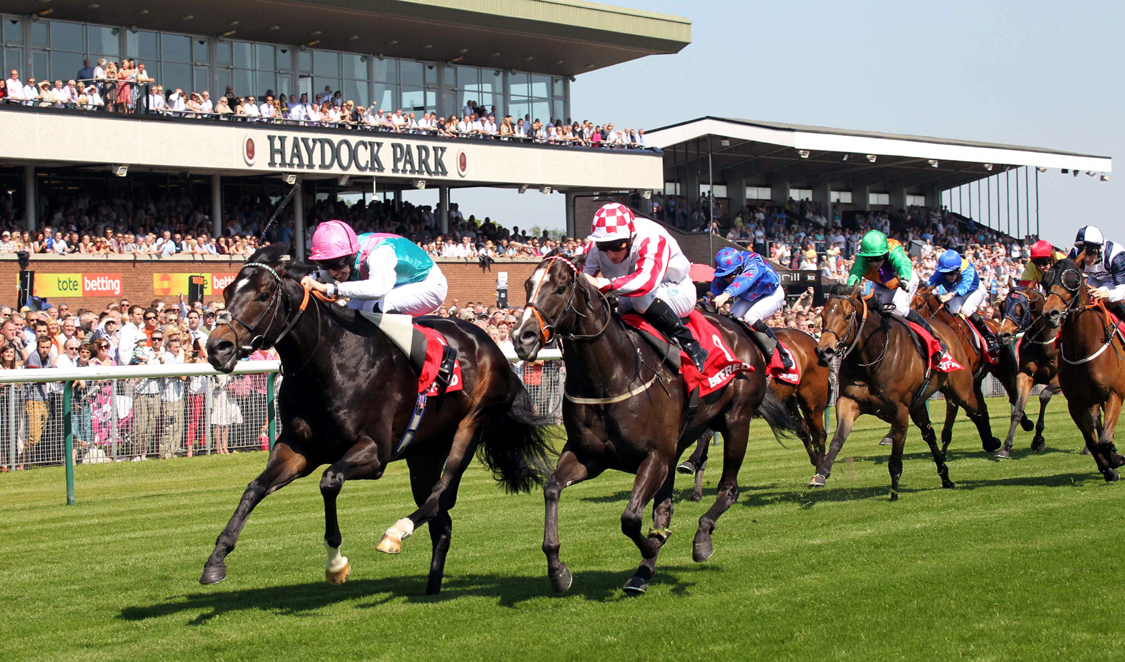 Gifted Master (győztesre) 3,00