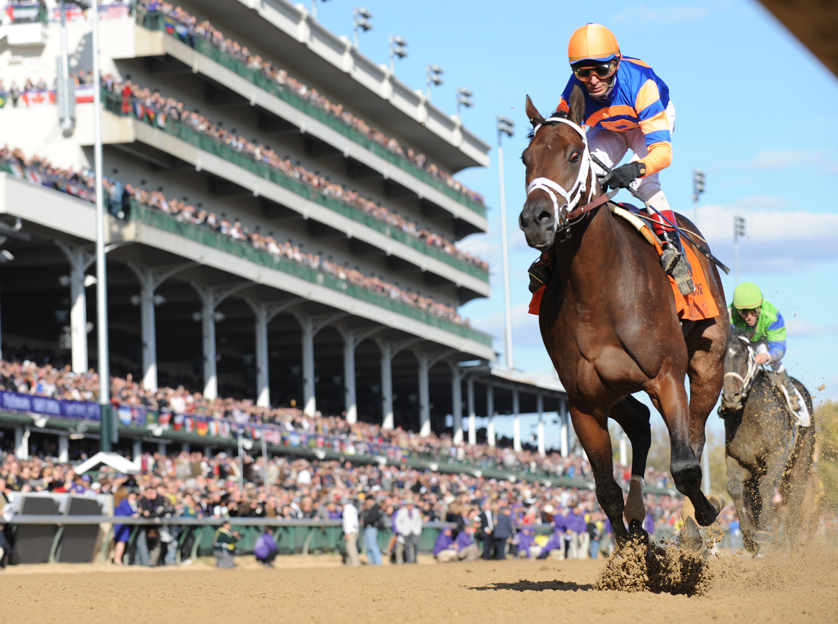 Maleficent Queen (győztesre és helyre) 4,00