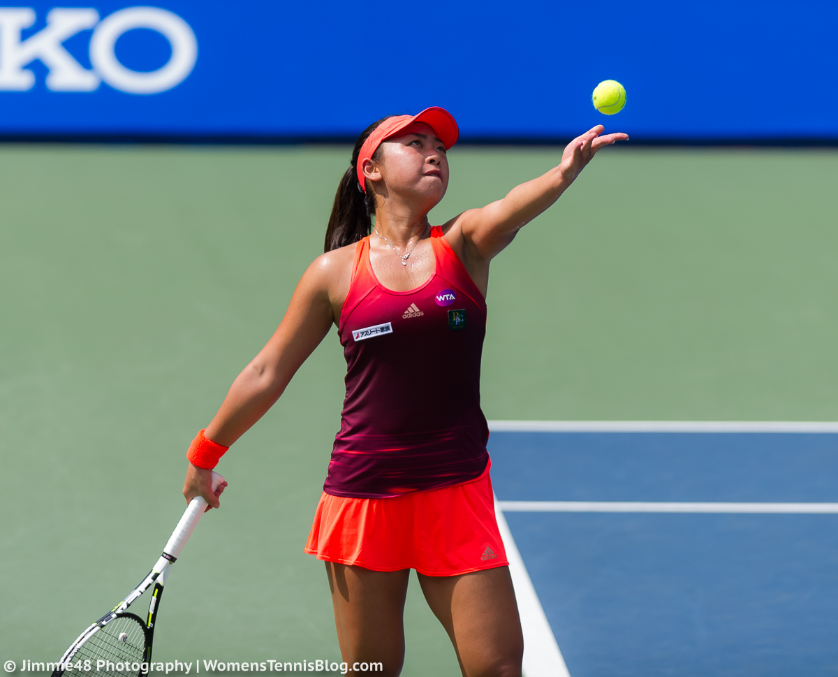 Hozumi – Anisimova H 1,85