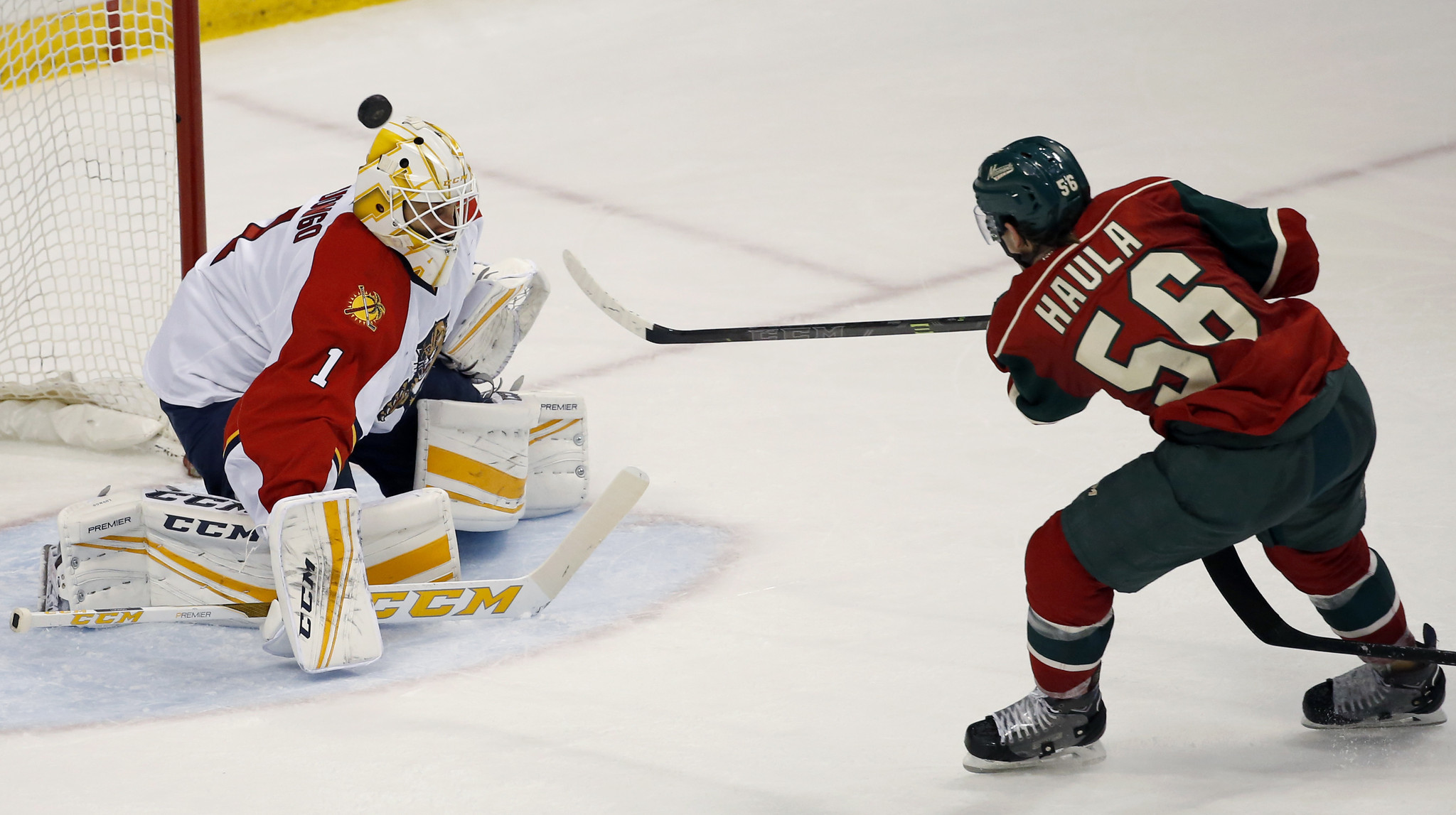 Minnesota Wild – Florida Panthers (kétesély) H 1,66