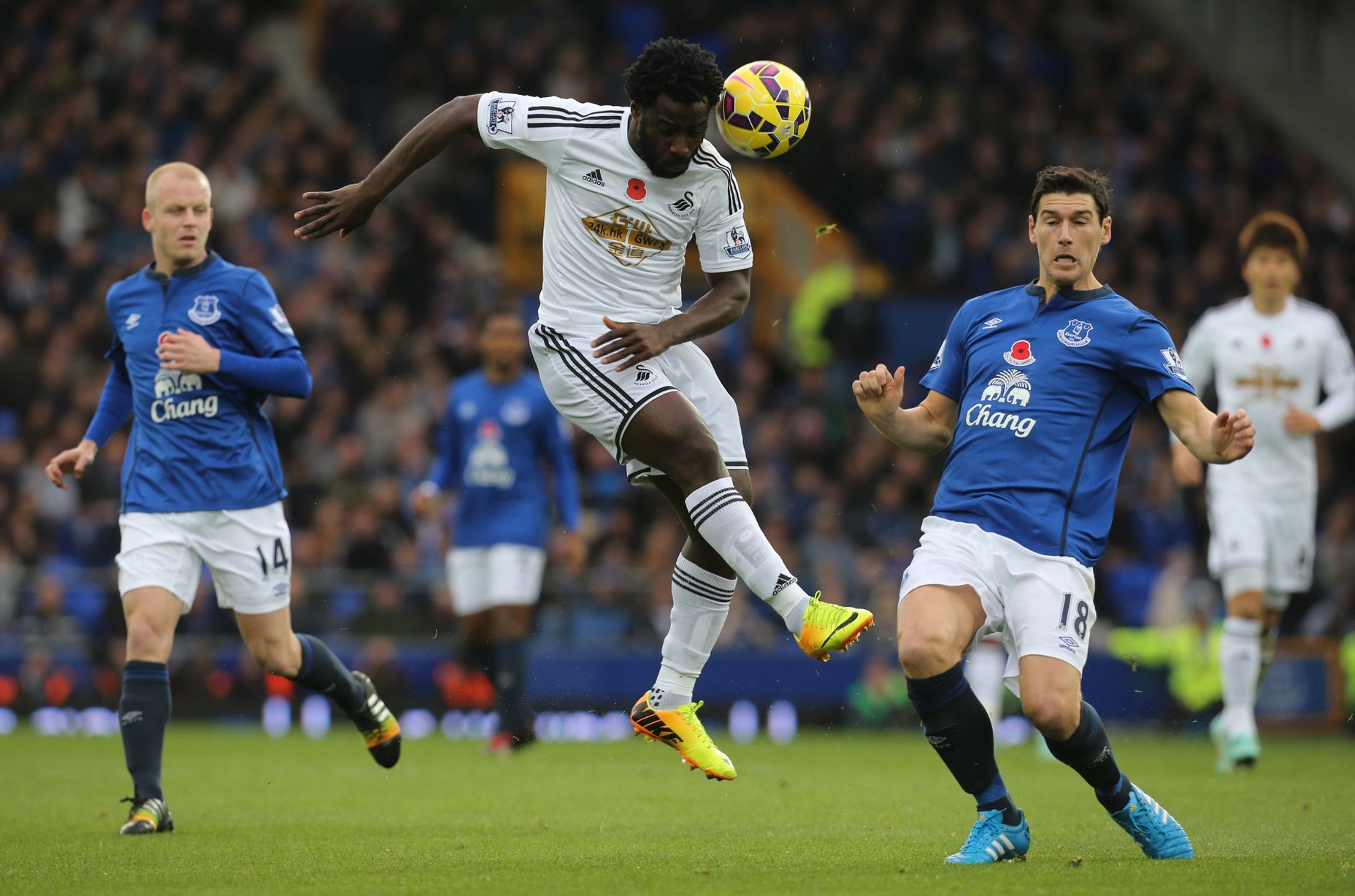 Swansea – Everton (DNB 1) 1,83