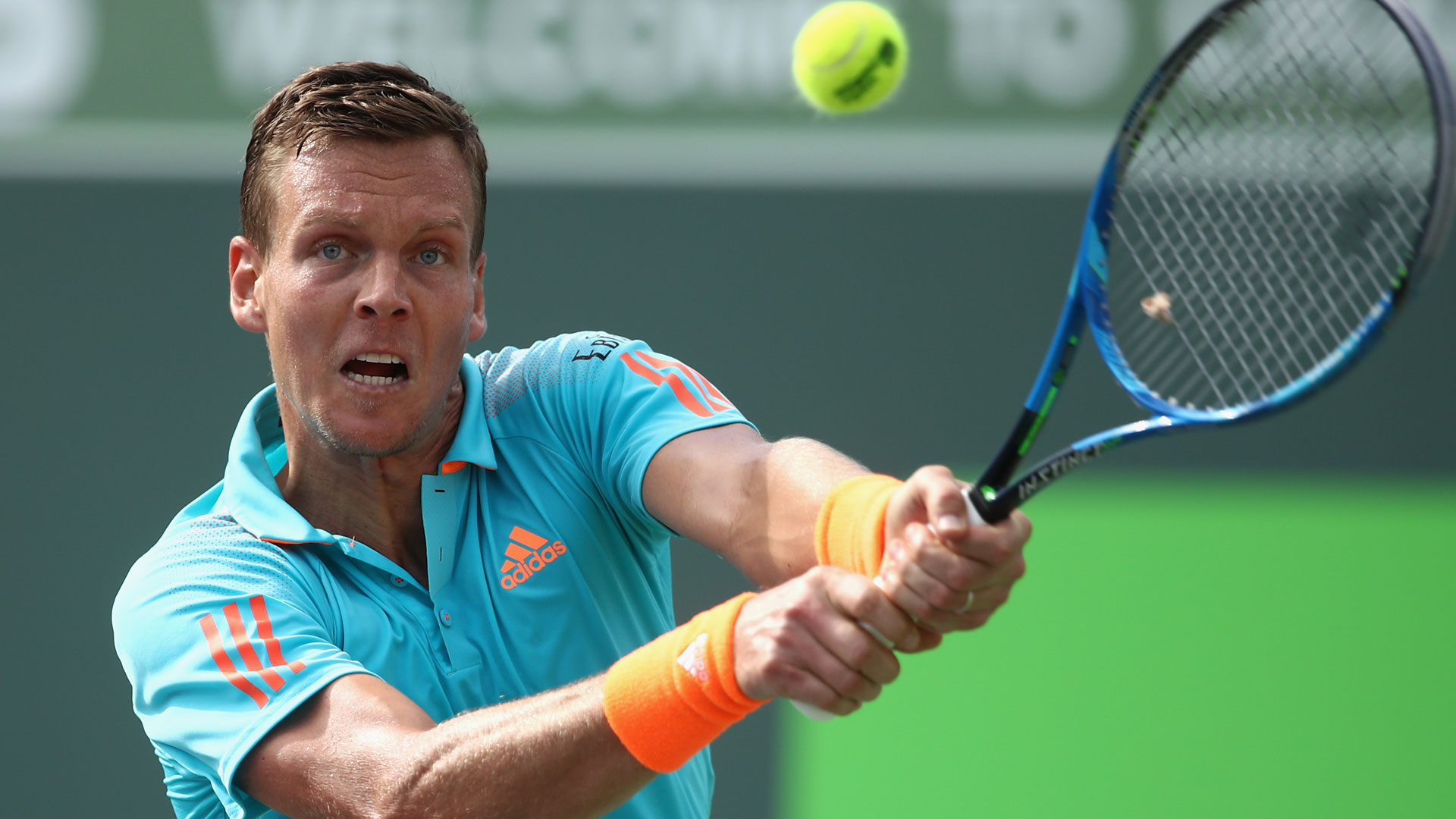 Berdych – Shapovalov (összesített játékok száma: 21,5 felett) 1,81
