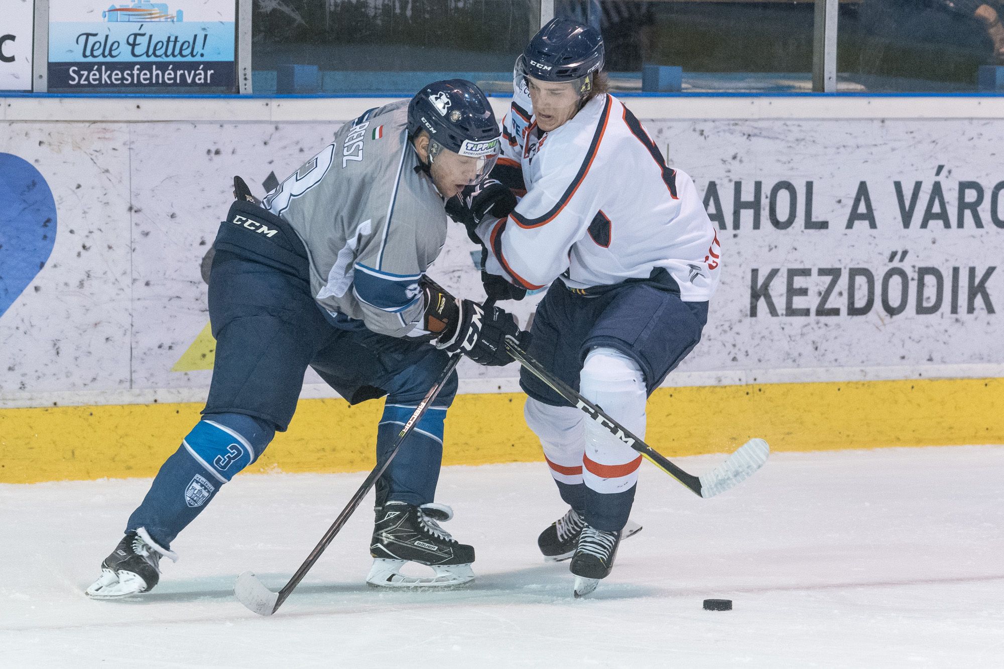 Medvescak Zagreb – Fehérvár AV 19 (5,5 gól felett) 1,70