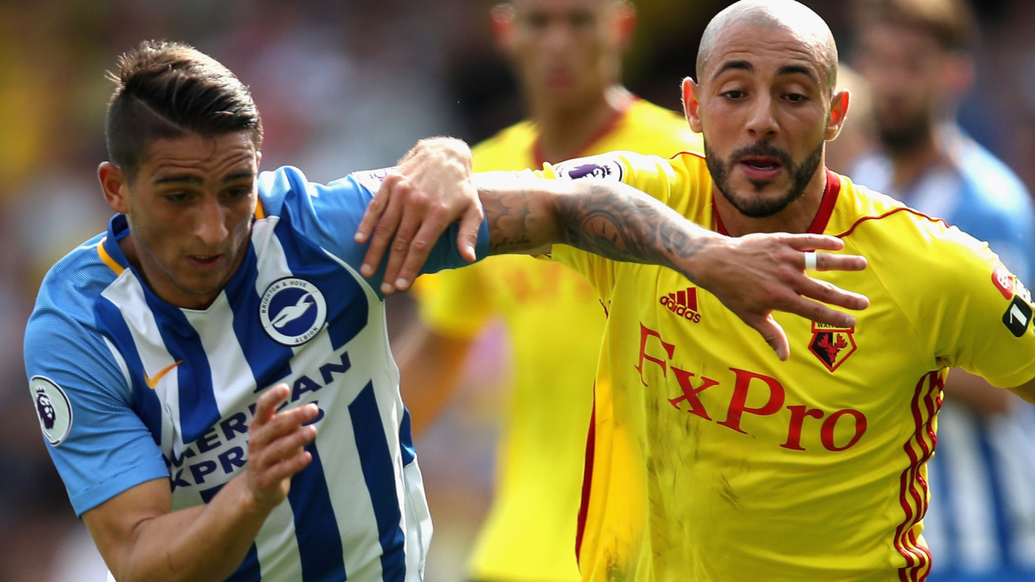 Brighton – Watford (DNB 1) 1,97