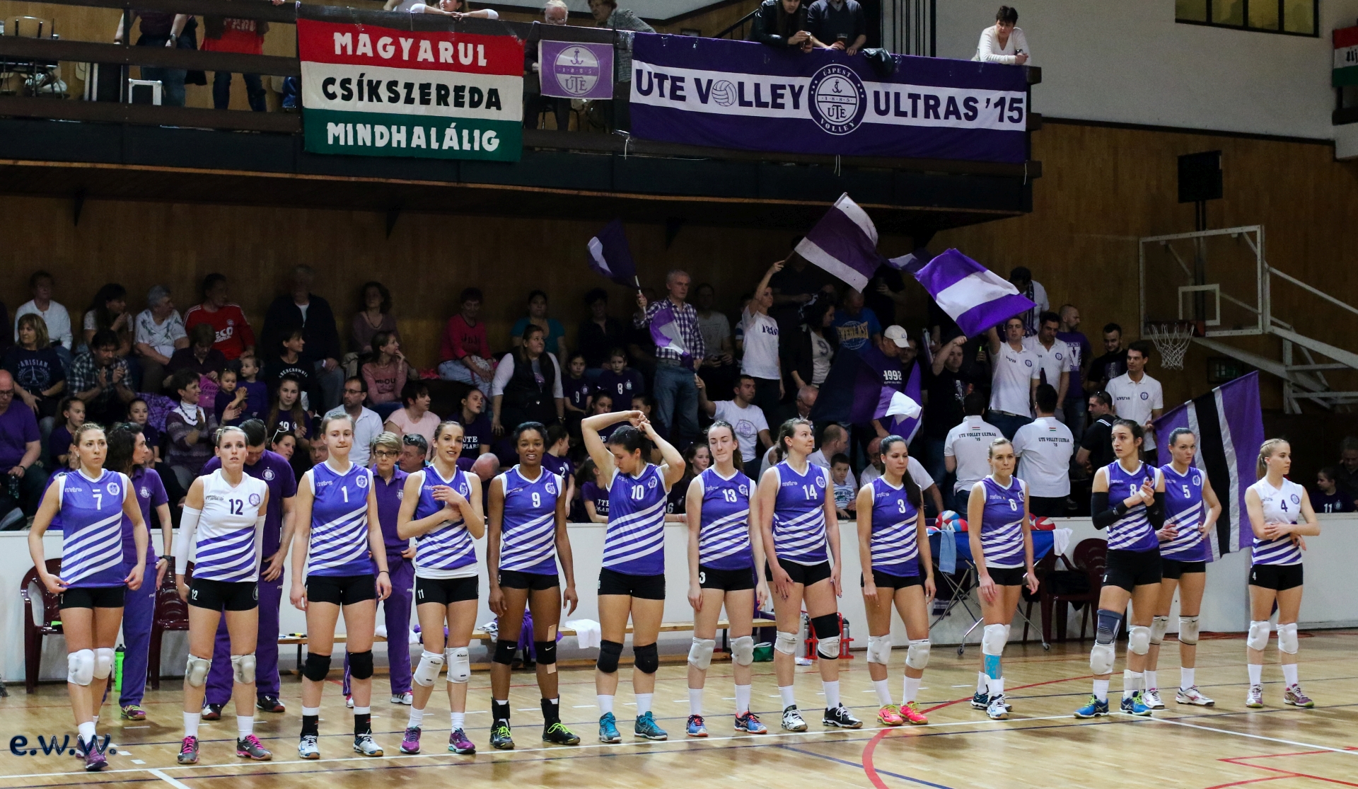 Vasas – UTE V 1,83