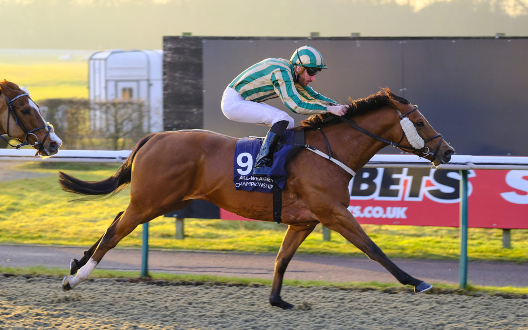 Born To Finish (helyre) 1,72