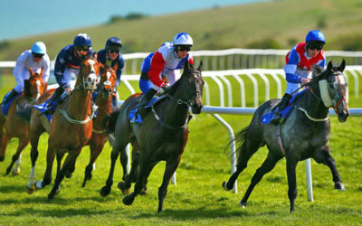 Maori Bob (helyre) 1,66