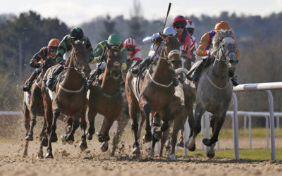 Contango (helyre) 1,57