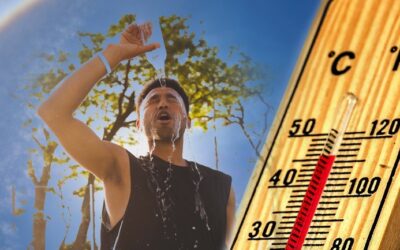 Omonia Nicosia – Dinamo Zagreb (2,5 gól alatt) 1,71