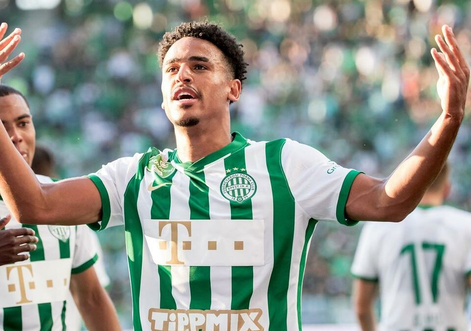 17 4 ryan mmaee kar 960px