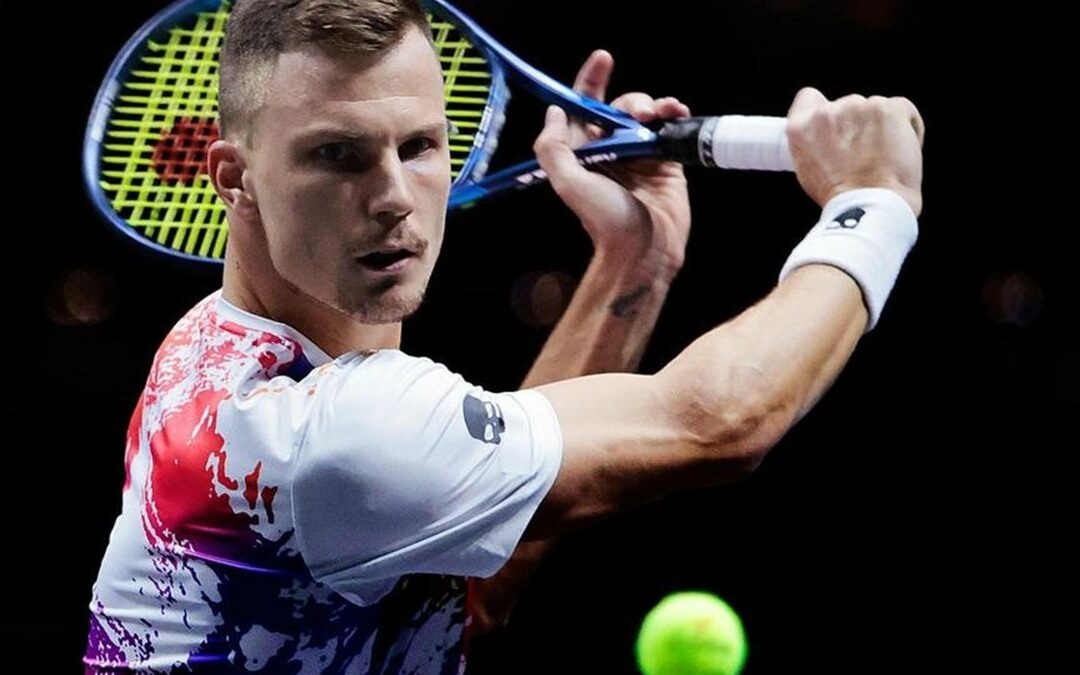 3313477 67749808 2560 1440