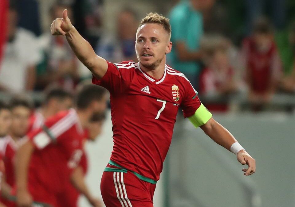 20170831 0027 at 960px