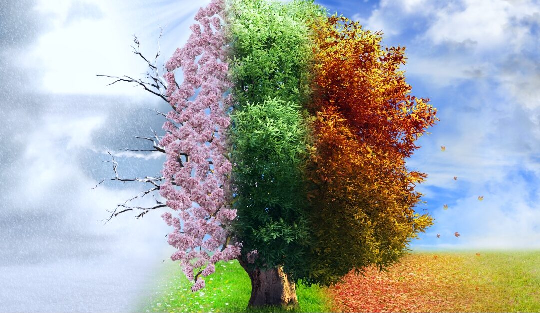 Szezonnyitó AKCIÓ! 50 %-os kedvezmény minden csoportra!