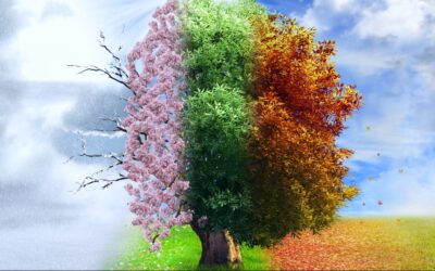 Szezonnyitó AKCIÓ! 50 %-os kedvezmény minden csoportra!