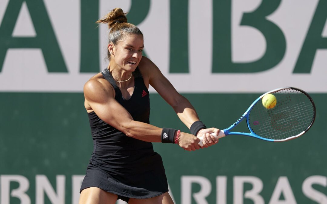 tippmix tippek, sportfogadás tippek, q. zheng, sakkari