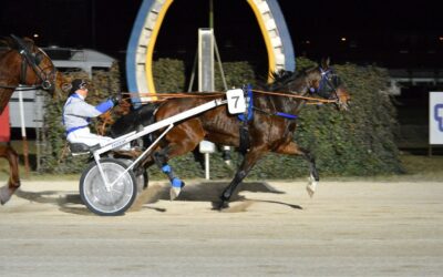 Kincsem Park Szilveszteri ügető 2025 (helyre: Győcike) 9.10