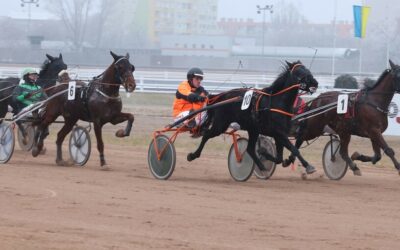 Kincsem Park Szilveszteri ügető 2025 (helyre: Fast Track) 3.70