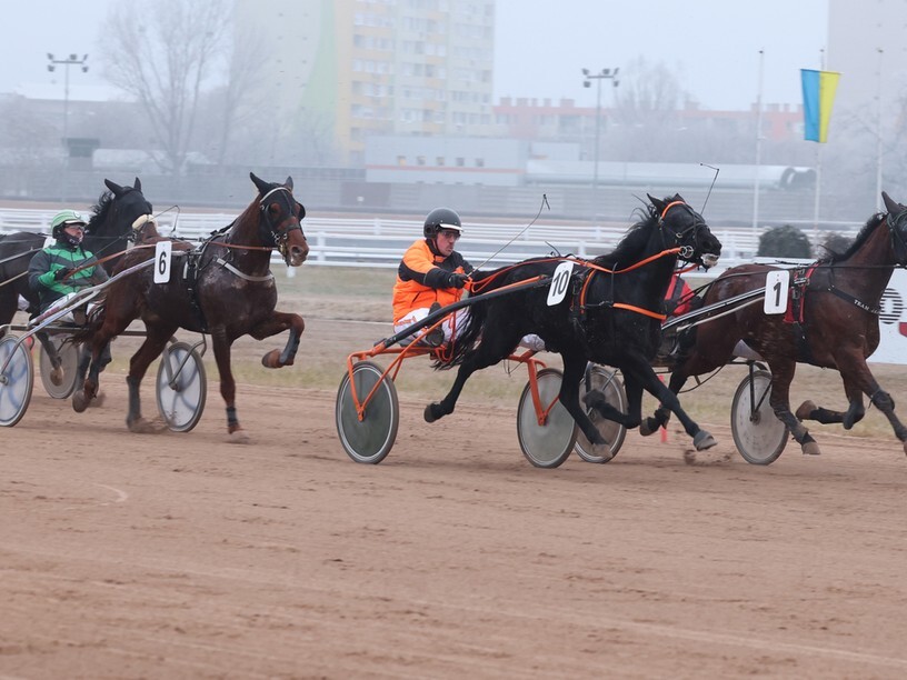 Kincsem Park Szilveszteri ügető, tippmix tippek, sportfogadási elemzések
