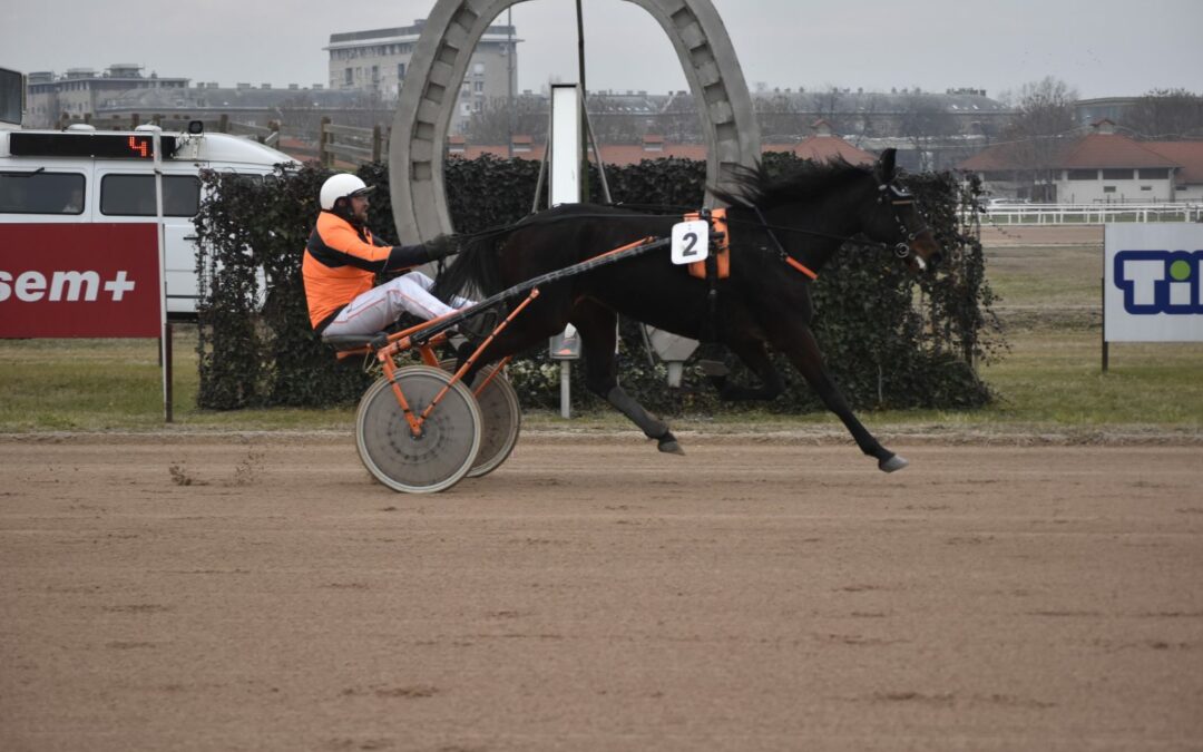 Kincsem Park Szilveszteri ügető, tippmix tippek, sportfogadási elemzések
