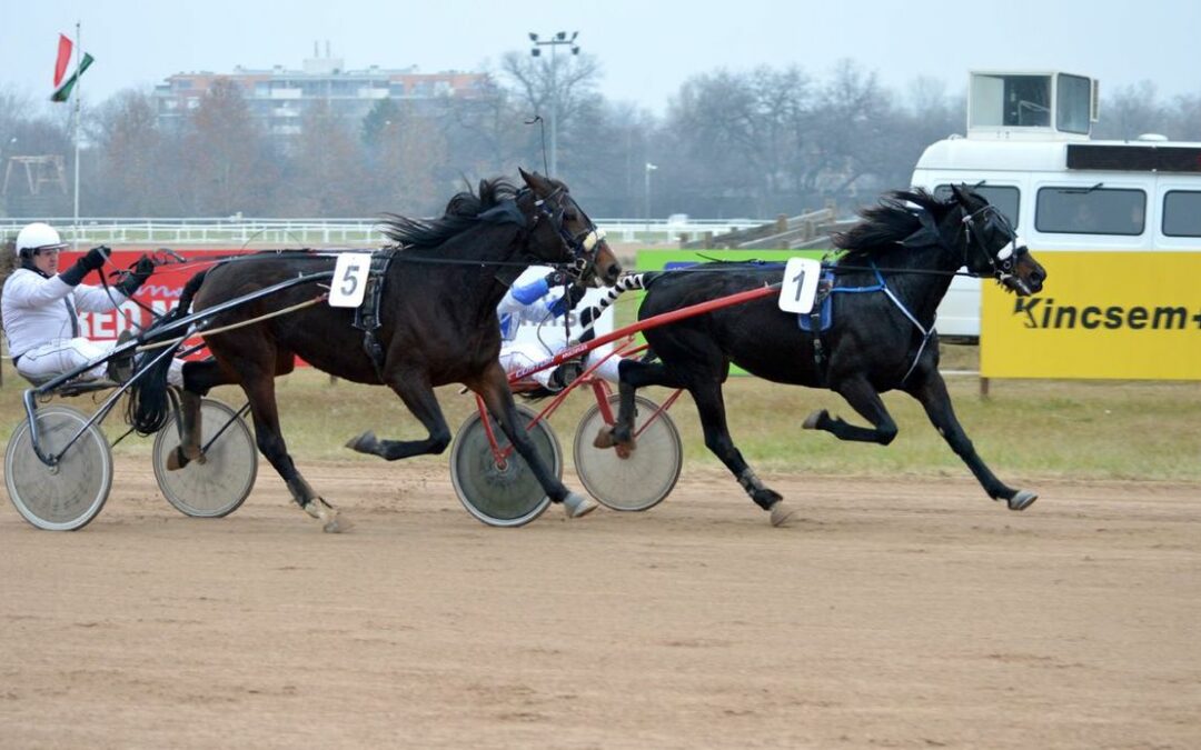 Kincsem Park Szilveszteri ügető, tippmix tippek, sportfogadási elemzések